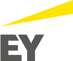 Hiring Partner EY